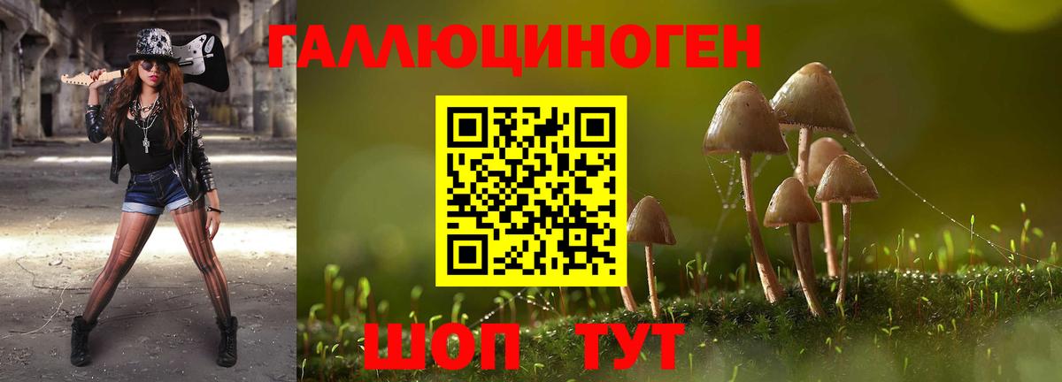 Вичуга  Псилоцибиновые грибы прущие грибы  продажа наркотиков  Галлюциногенные грибы мицелий  Вход с VPN 